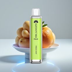 Hayati Pro Max 4000 Puffs Disposable Vape Свежая Мята, Rechargeable, Dual Mesh Coil