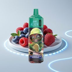 JNR Alien 10000 Puffs 850mAh Type-C LED Голубика-Малина