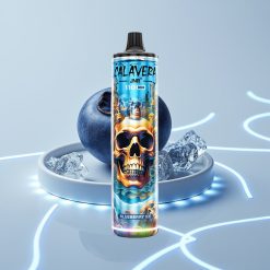 JNR Calavera 11000 Puffs Меш 1.0ом Type-C Черничный Лед