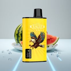 JNR EAGLE Smart 23000 Puffs Цифровой экран 1.0Ω Mesh 25мл Киви Арбуз Лёд