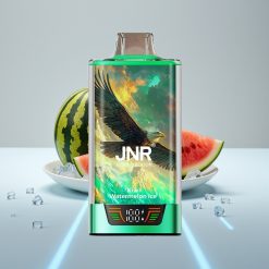 JNR Falcon Pro 28000 30мл 5% никотин USB-C Dual Mesh Киви Арбуз Лёд
