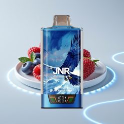 JNR Falcon Pro 28000 30мл 950мАч Черника-Малина