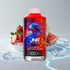 JNR Falcon X 18000 Puffs 750mAh 24ml Dual Mesh Клубника Арбуз Лёд