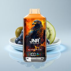 JNR Falcon X 18000 Puffs 750mAh Type-C Голубика Киви