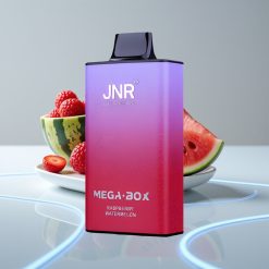 JNR Mega Box 25000 Puffs 30мл Малина Арбуз Тип-C