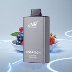 JNR Mega Box 25000 Puffs Двойная Сетка 30мл Черника